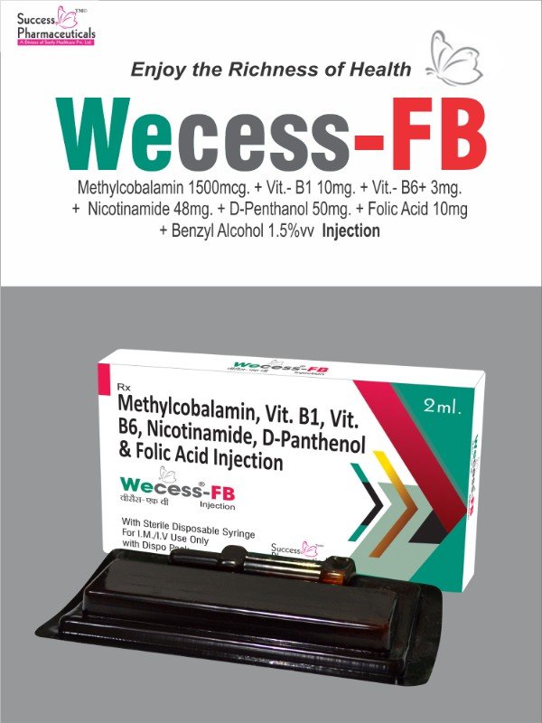 WEcess FB